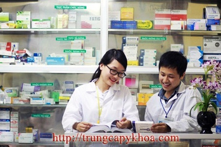 trung-cap-duoc-ha-noi