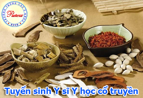 tuyen sinh y si y hoc co truyen tuyen sinh y si y hoc co truyen