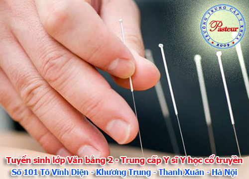 van bang 2 y si y hoc co truyen van bang 2 y si y hoc co truyen