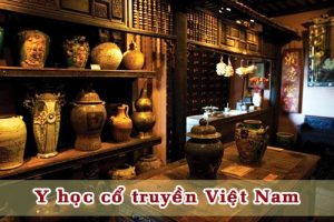 Y học cổ truyền Việt Nam