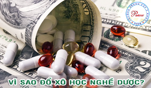 học nghề dược sĩ