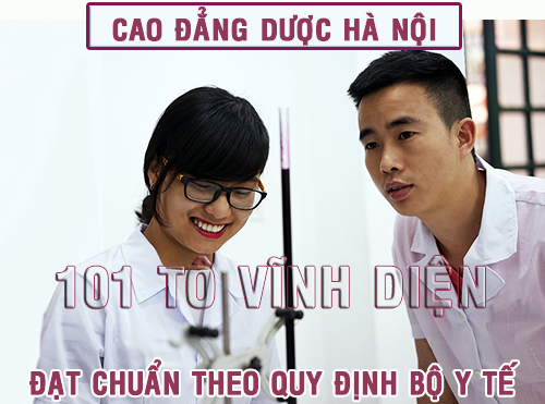 cao đẳng dược hà nội việc làm lương cao