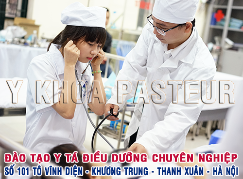 đào tạo y tá điều dưỡng viên chuyên nghiệp