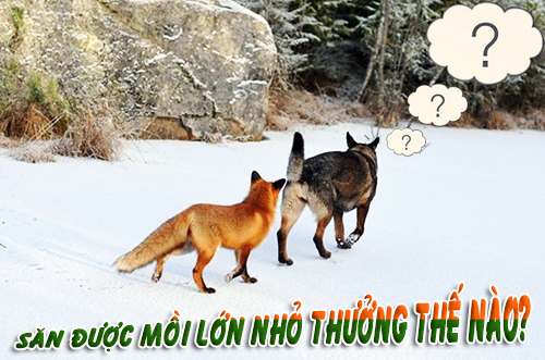 lương thưởng seo hà nội