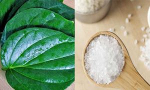 Muối biển kết hợp với lá trầu không chữa bệnh tổ đỉa hiệu quả