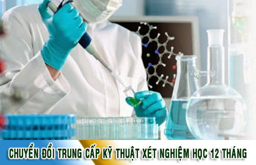 Đào tạo chuyển đổi Trung cấp xét nghiệm học 12 tháng Đào tạo chuyển đổi Trung cấp xét nghiệm học 12 tháng