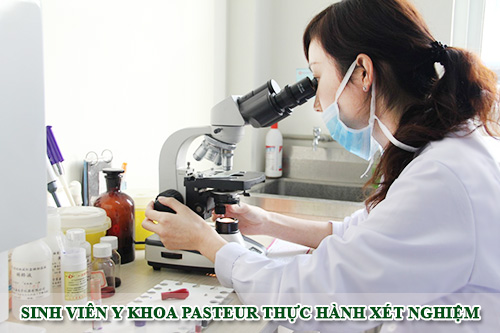 Sinh viên Y Khoa Pasteur thực hành xét nghiệm