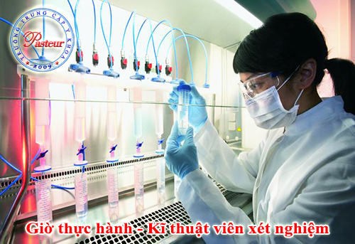 Thực hành kỹ thuật viên xét nghiệm Pasteur