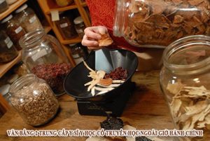 Văn bằng 2 Trung cấp Y sĩ Y học cổ truyền học ngoài giờ hành chính