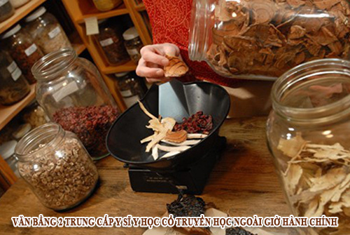 Văn bằng 2 Trung cấp Y sĩ Y học cổ truyền học ngoài giờ hành chính