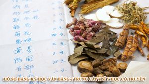 Hồ sơ đăng ký học văn bằng 2 Trung cấp Y sĩ Y học cổ truyền