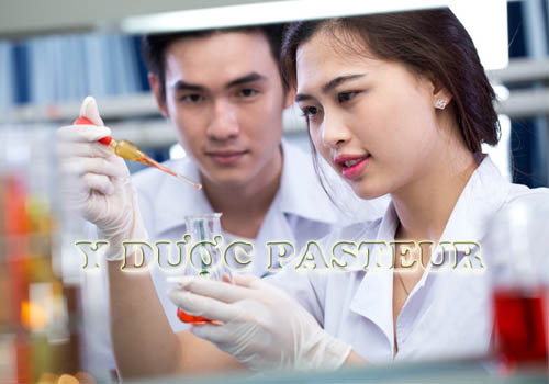 Môi trường học tập Trường Trung cấp Y Khoa Pasteur Môi trường học tập Trường Trung cấp Y Khoa Pasteur