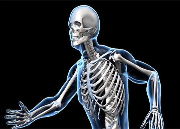 Hạt điều chứa nhiều magie có khả năng hỗ trợ sức khỏe xương