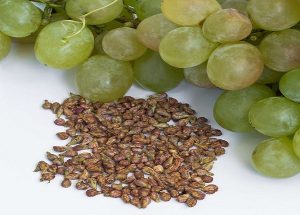 Hạt nho chứa nhiều giá trị dinh dưỡng đối với sức khỏe